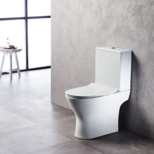 Σετ Λεκάνη Χαμηλής Πιέσεως Πισωστόμια με Καζανάκι TONIC TON 3100 TH